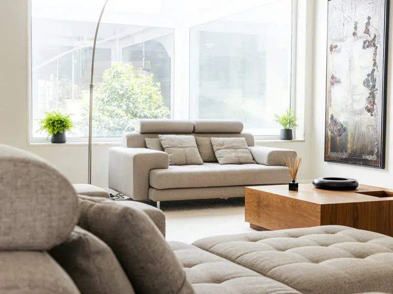 Bright living room windows